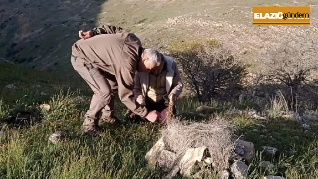 Elazığ'da yasa dışı avcılık yapan 1 kişiye idari işlem uygulandı