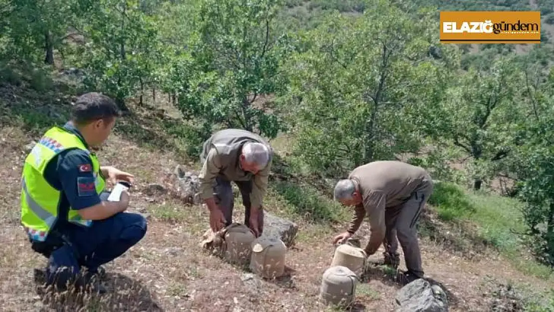 Elazığ'da yasa dışı avcılık yapan 4 kişi yakalandı