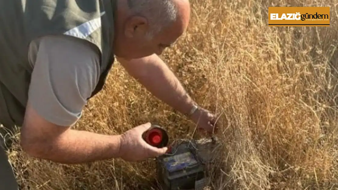 Elazığ'da yasa dışı avcılık yapan 2 kişiye idari işlem yapıldı