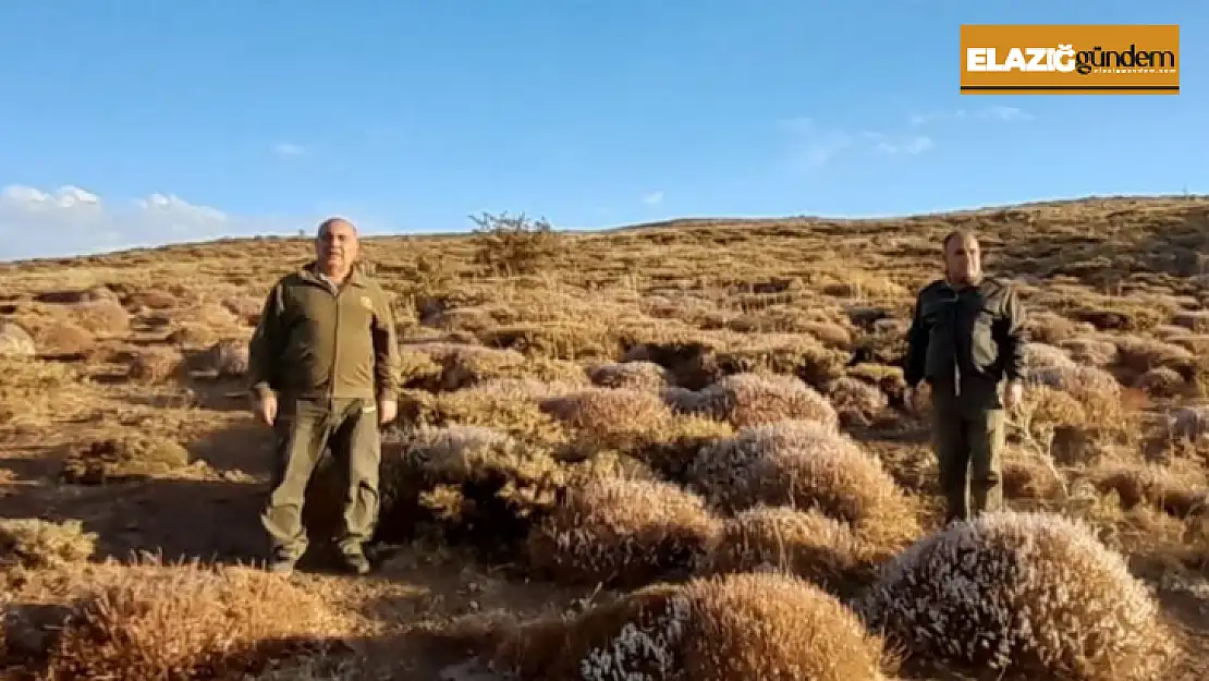 Elazığ'da yasadışı avcılık yapan 1 kişiye idari işlem uygulandı