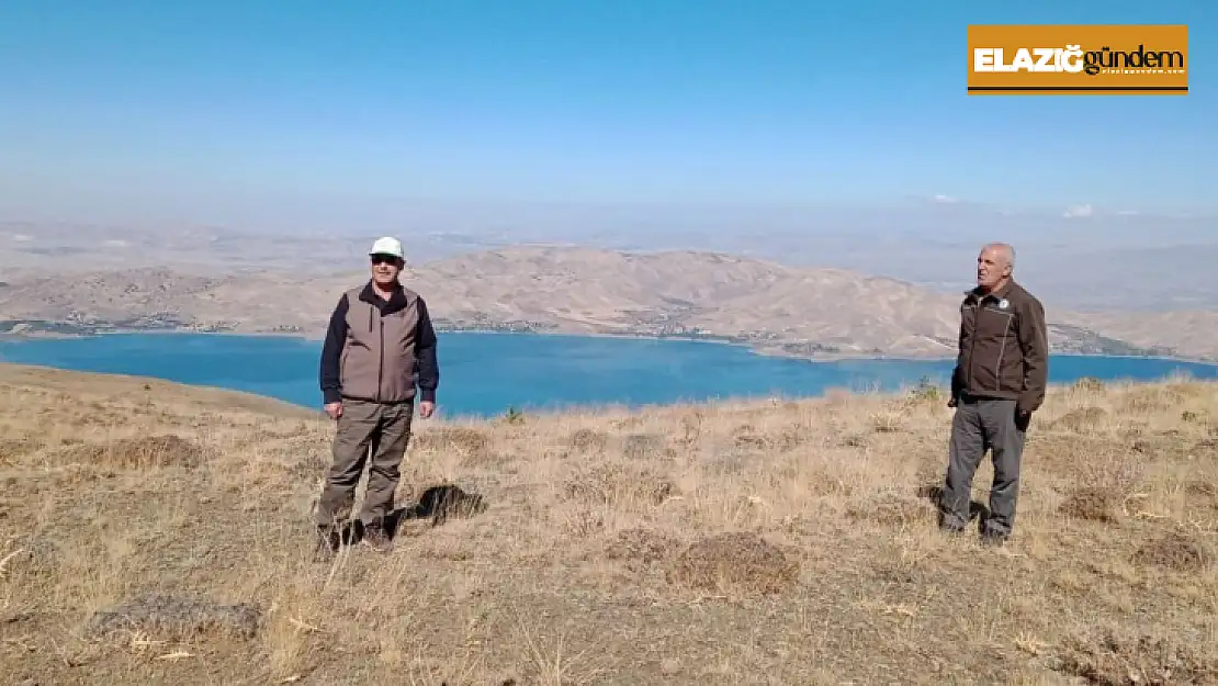 Elazığ'da yasadışı avcılık yapan şahsa ceza