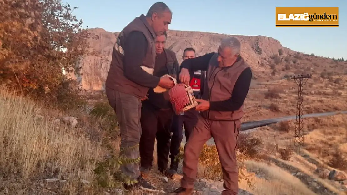 Elazığ'da yasadışı avcılık yapan şahsa idari işlem uygulandı