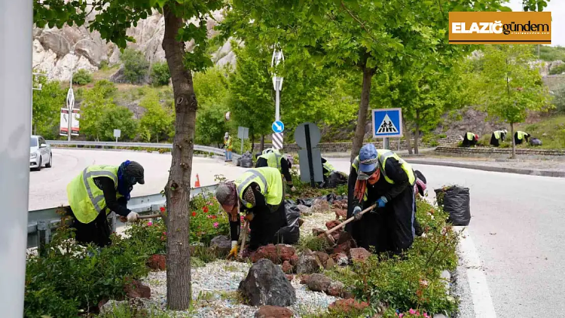 Elazığ'da yeşil alanlarda bahar temizliği