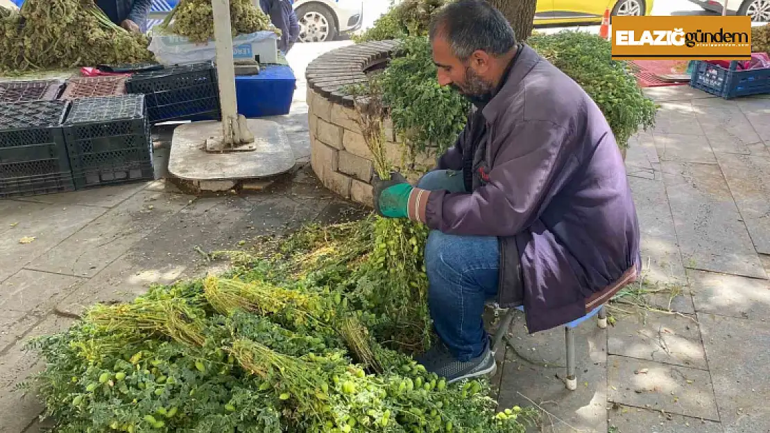 Elazığ'da yeşil nohut tezgahlardaki yerini aldı