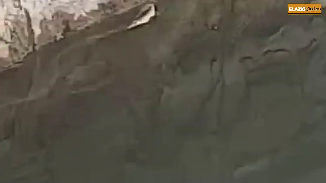 Elazığ'da yılanın balık avı kamerada