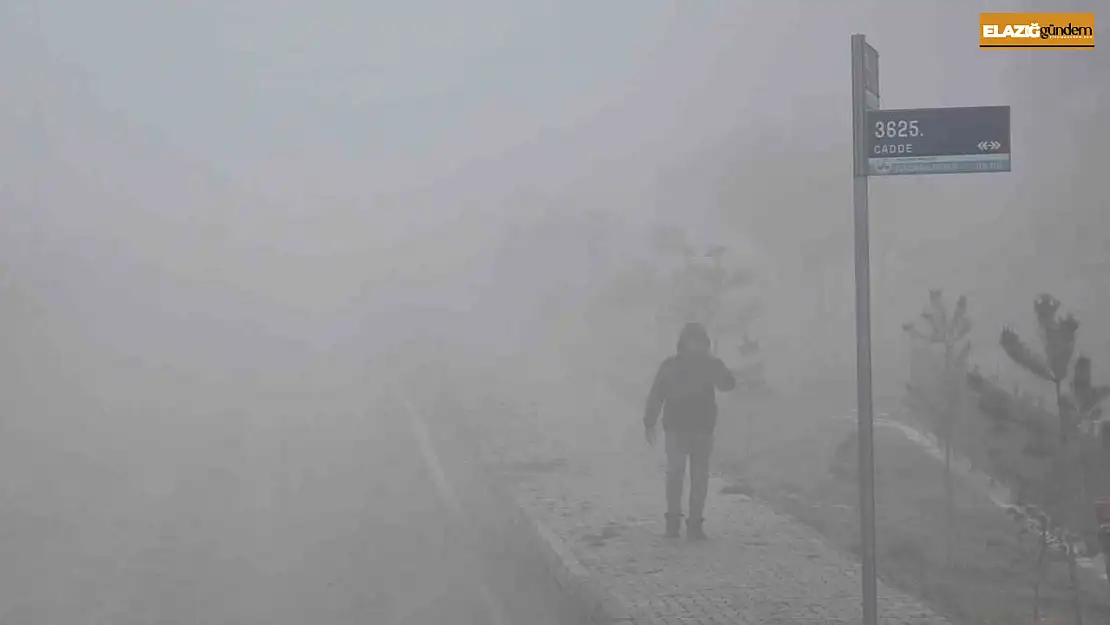 Elazığ'da yoğun sis etkili oldu, bir mahalle adeta kayboldu