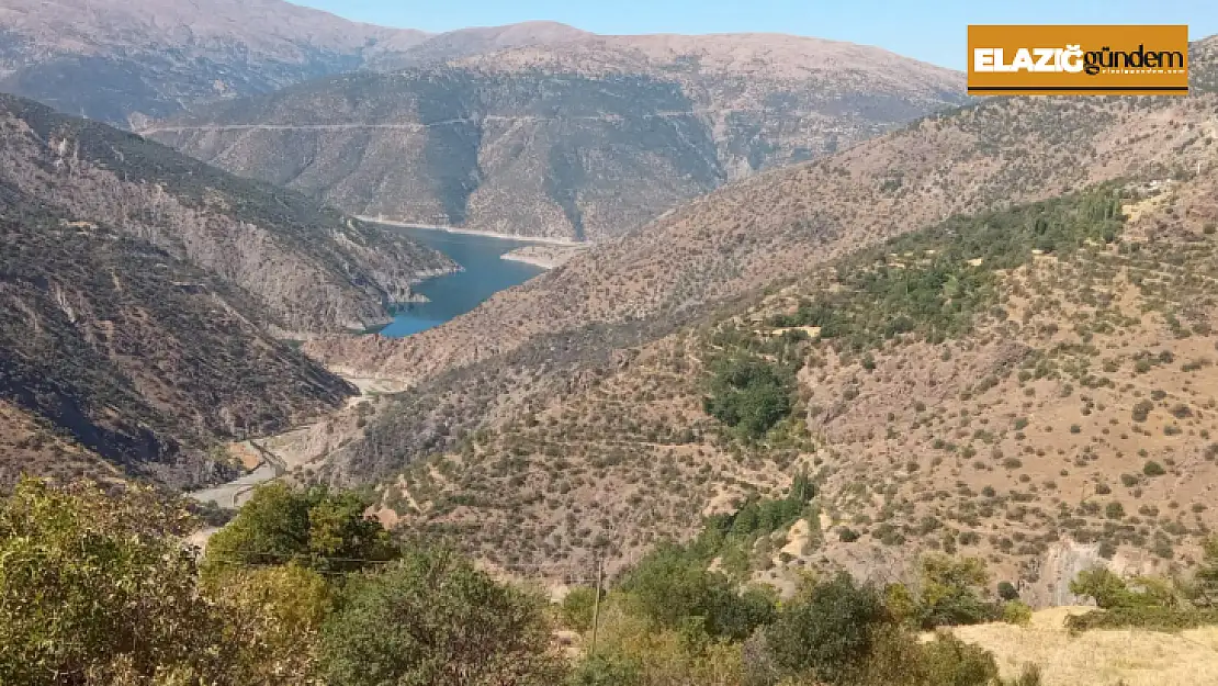 Elazığ'daki orman yangını söndürüldü