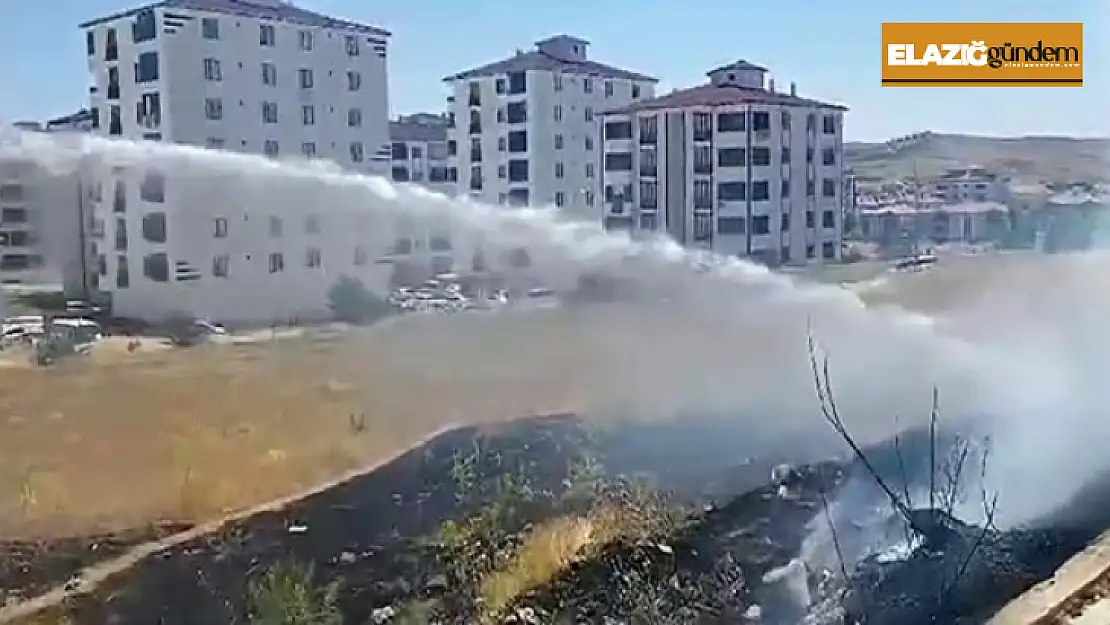 Elazığ'daki ot yangını söndürüldü