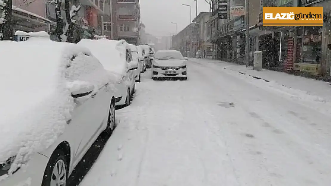 Elazığ'ın ilçelerinde kar yağışı etkili oldu