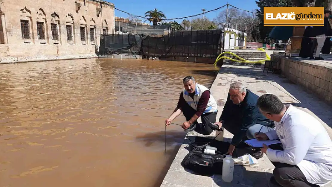 Elazığ Su Ürünleri Araştırma Enstitüsü, Balıklıgöl'de inceleme yaptı