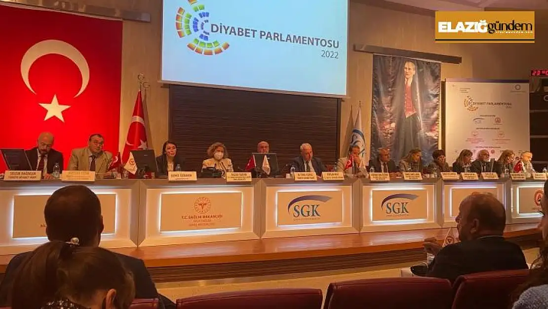 Elazığlı öğretmen doğu illerini temsilen 12. Diyabet Parlamentosu'na katıldı