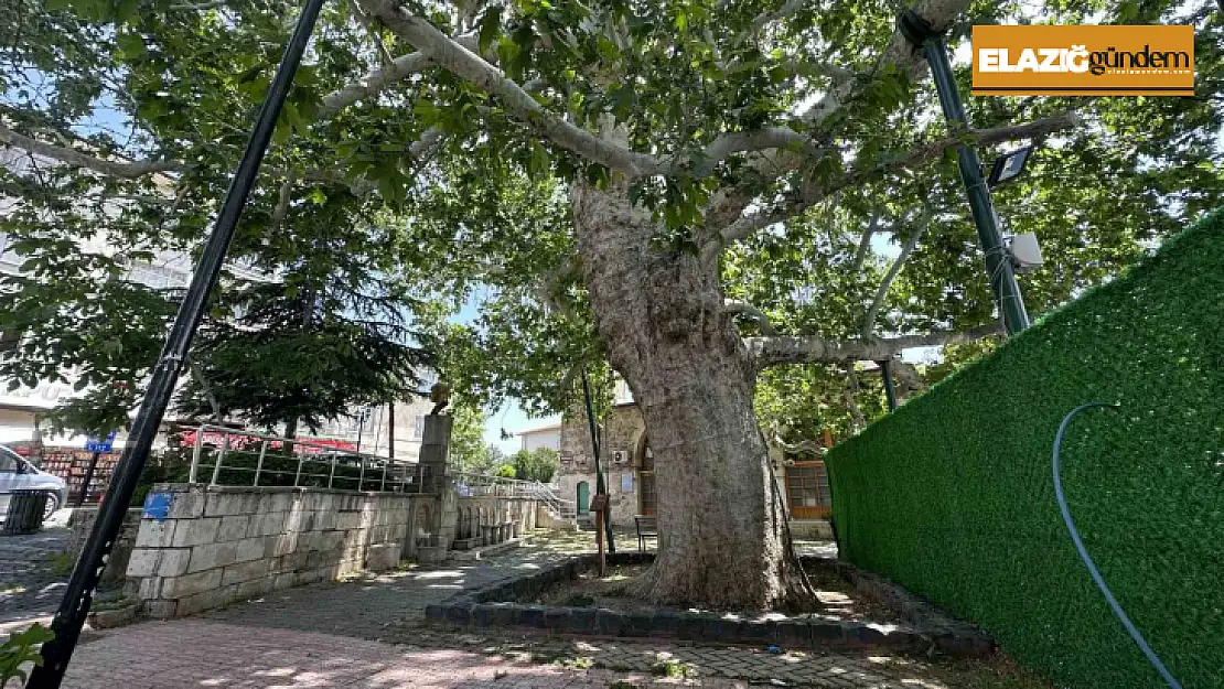 Evliya Çelebi gölgesinde not almıştı, ağırlığını kaldıramayınca güçlendirildi