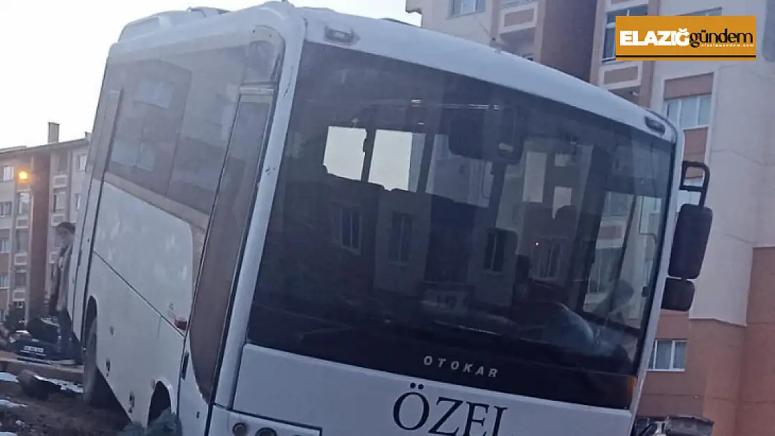 Freni patlayan midibüs kaldırıma çarpıp ağacı devirerek durabildi