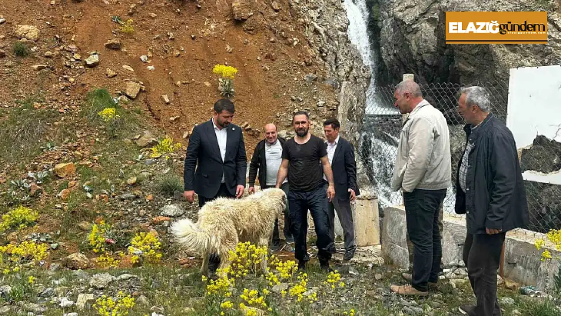 İhbar kendisine geldi, belediye başkanı köpek kurtarma operasyonuna katıldı