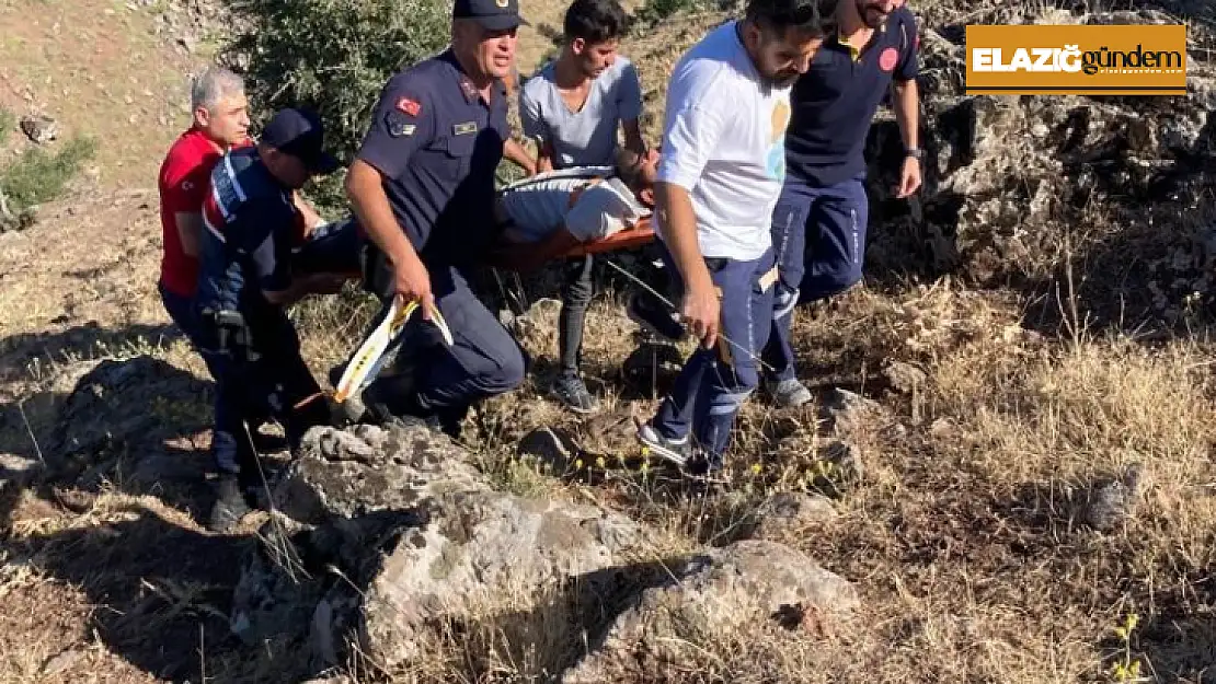 Kaçan keçiyi yakalamak isteyen kayalılardan yuvarlandı