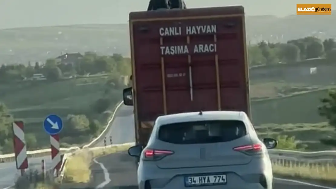 Kamyonun üzerinde tehlikeli yolculuk kamerada