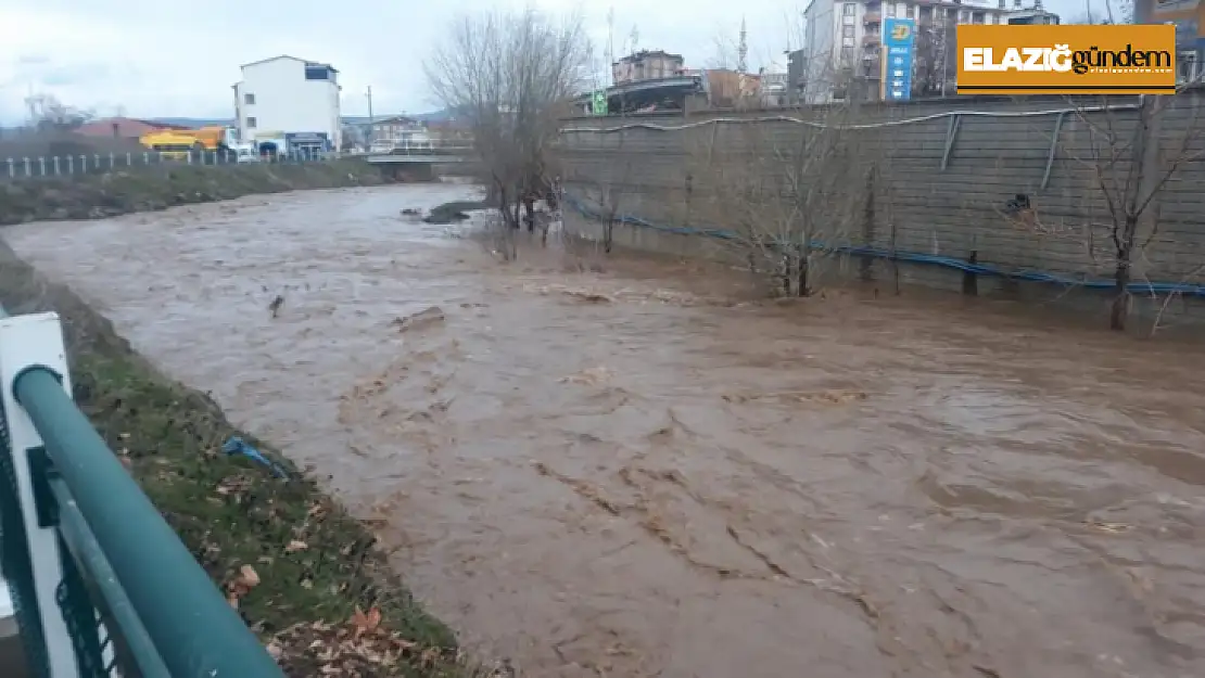 Karakoçan'da dereler taştı, vatandaşlar anonsla uyarıldı