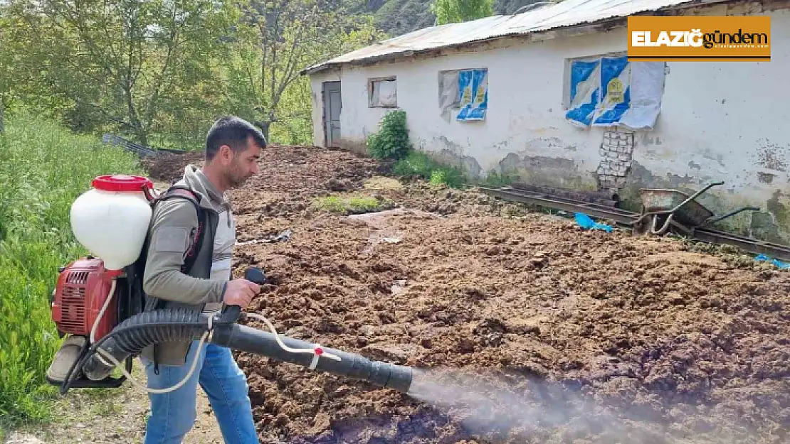 Keban'da haşere ile mücadele çalışması başladı