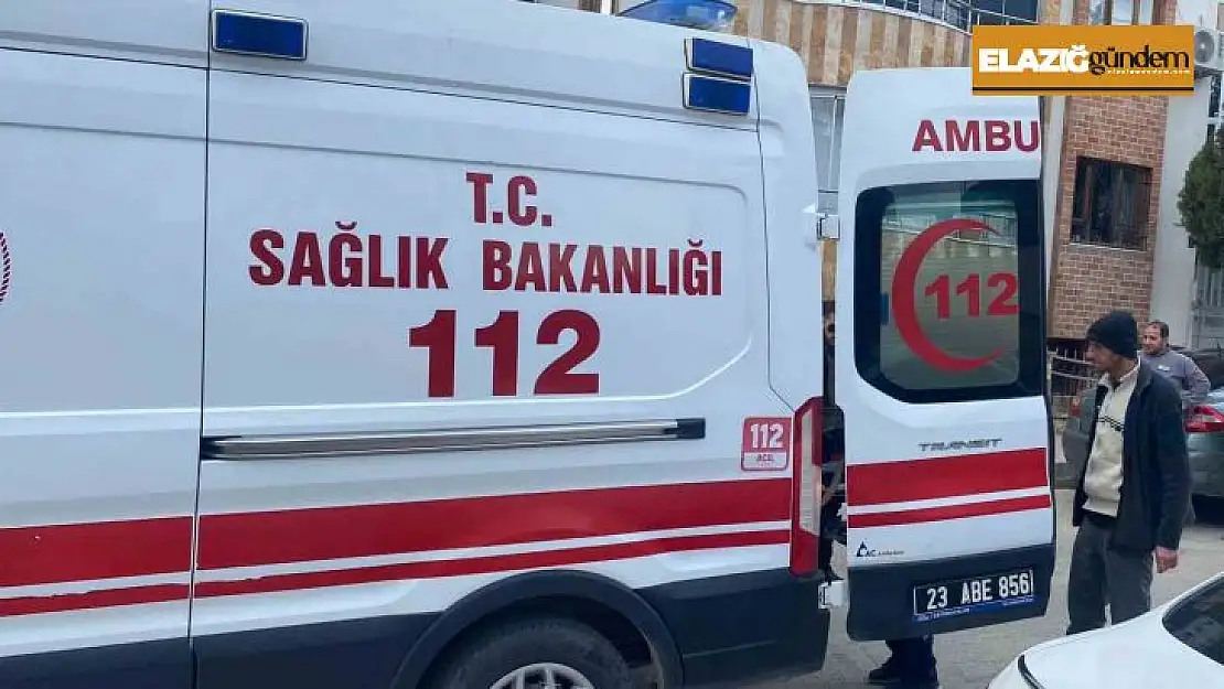 Kediye çarpmamak için kaza yaptı: 1 yaralı