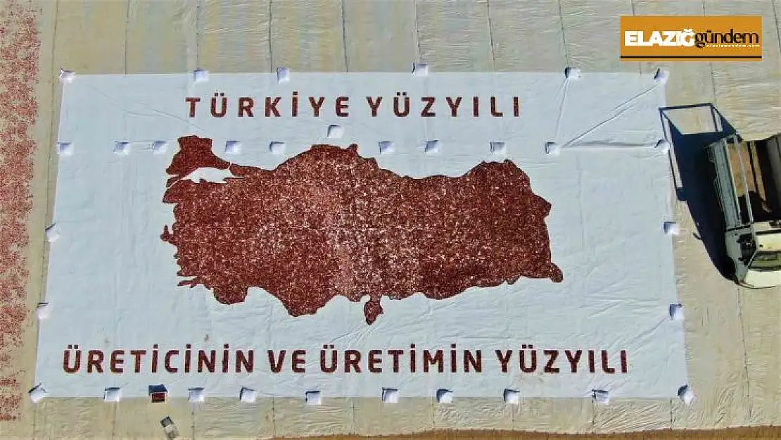 Kurutmalık domateslerle Türkiye haritası oluşturulup 'Türkiye Yüzyılı' yazıldı