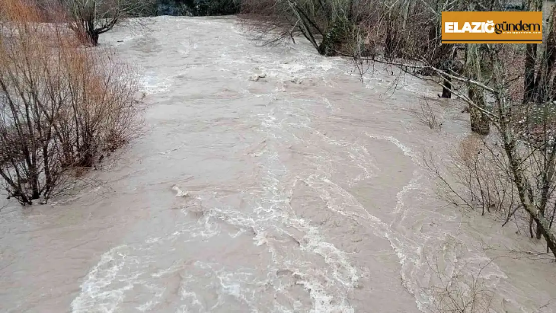 Arapgir'de Kozluk Çayı taştı