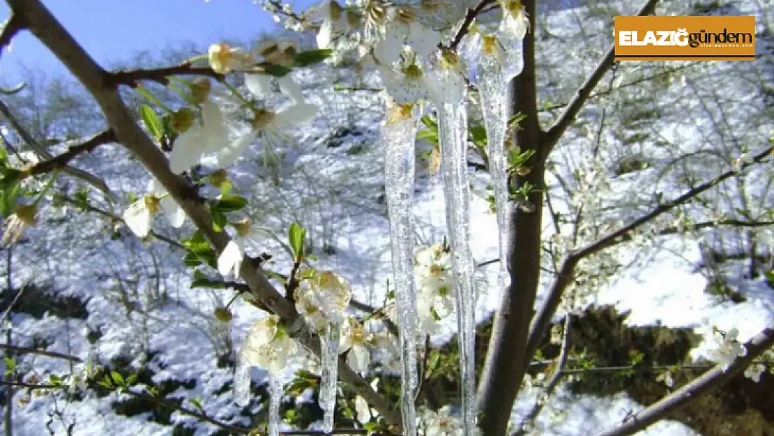 Meteorolojinin zirai don uyarısı sürüyor