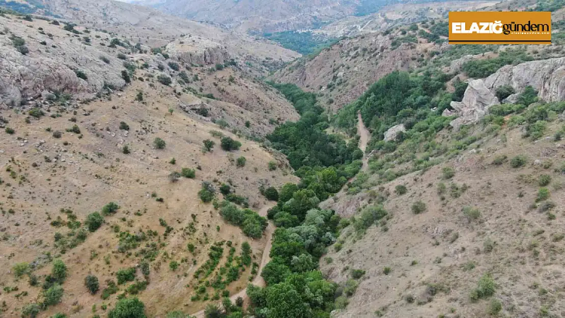 Ölbe vadisi ve Deve Mağarası turizme kazandırılmayı bekliyor