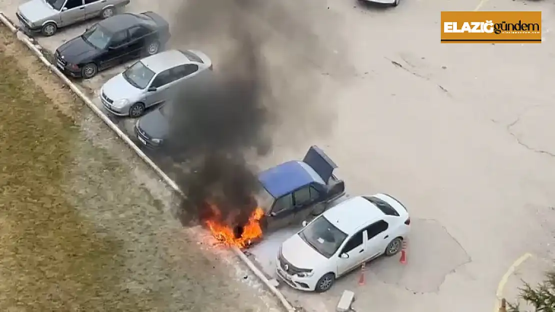 Park halindeki araç alev aldı