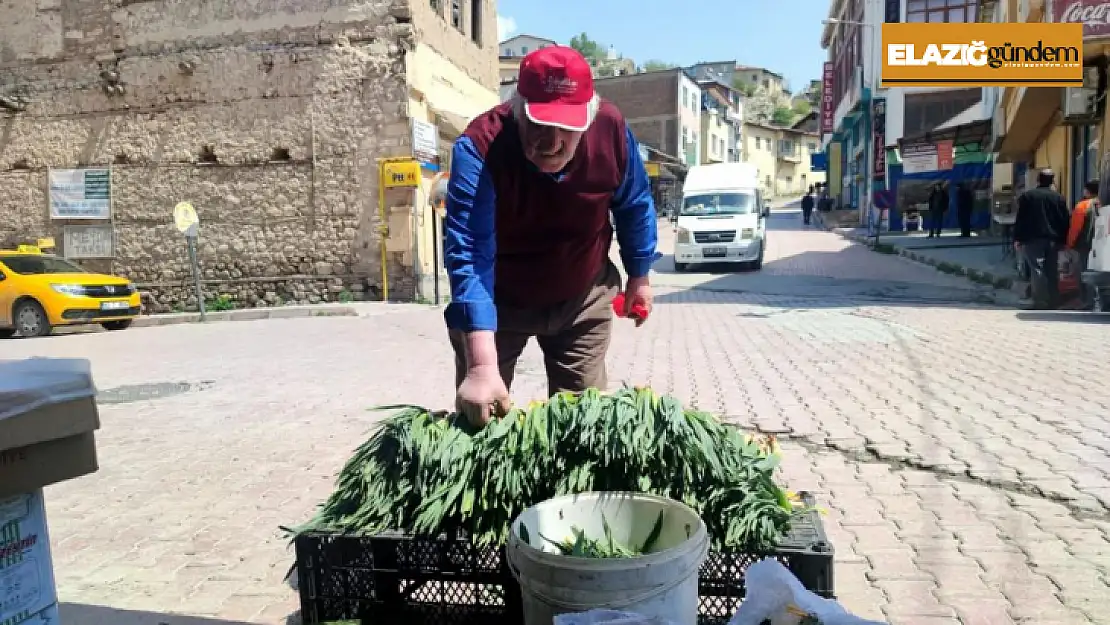 Şifalı bitki Gulik'e Çemişgezek'te rağbet yüksek