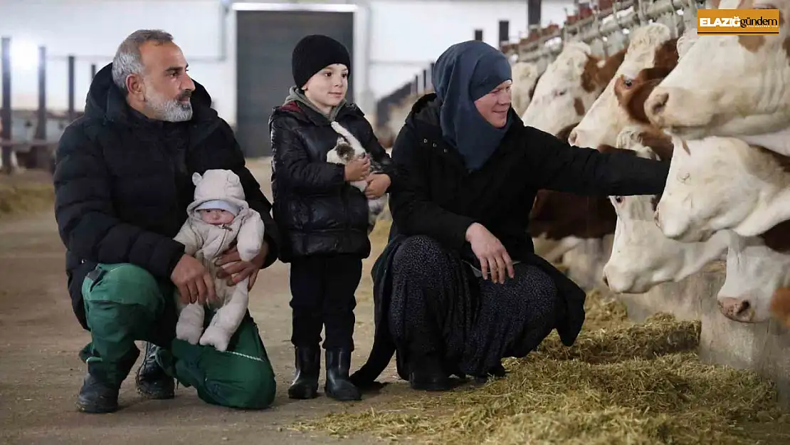 TKDK'dan aldığı destekle ülkesine dönüp çiftlik kurdu, 432 ton süt üretiyor