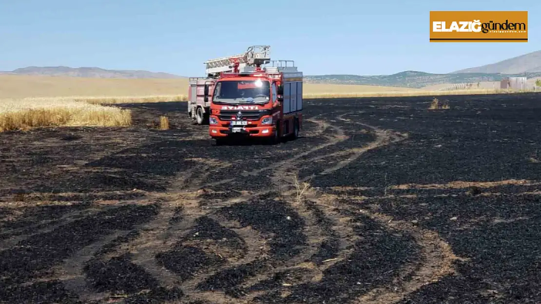 Trafodan çıkan kıvılcım 70 dönümlük ekili alanı kül etti