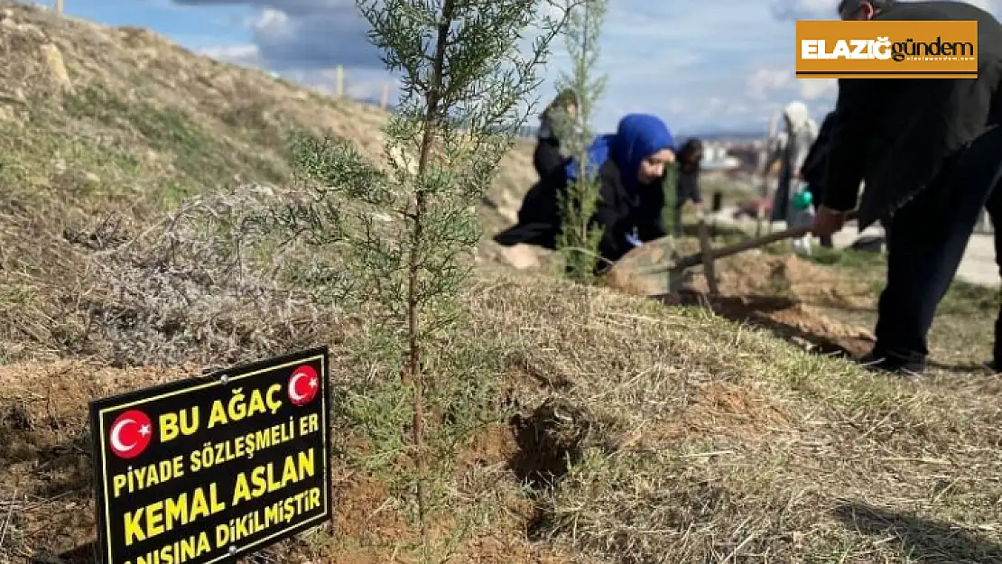 Üniversite öğrencileri şehitler anısına fidan dikti