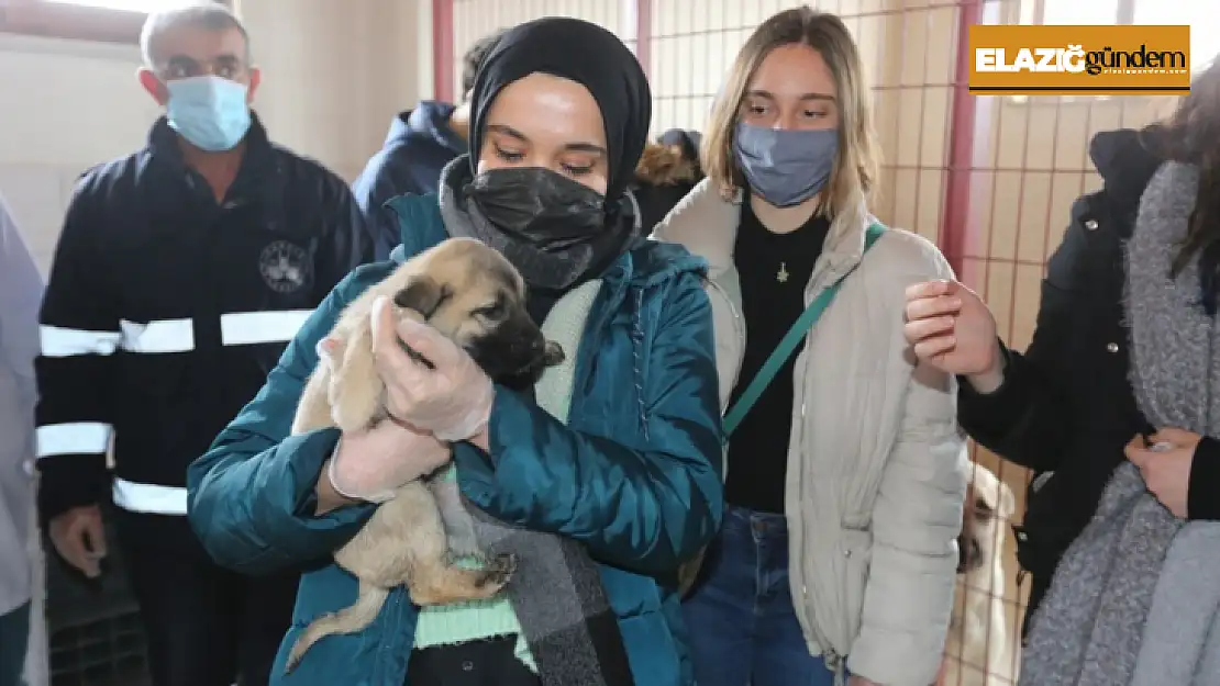 Öğrencilerden Elazığ Belediyesi Hayvan Hastanesine tam not