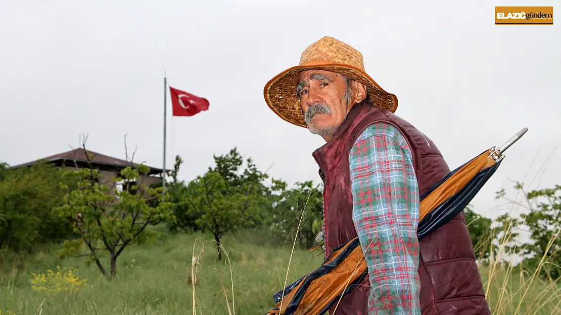 Yerli Robinson Crouse Ziya Dede rahatsızlandı ama ada sahipsiz kalmadı