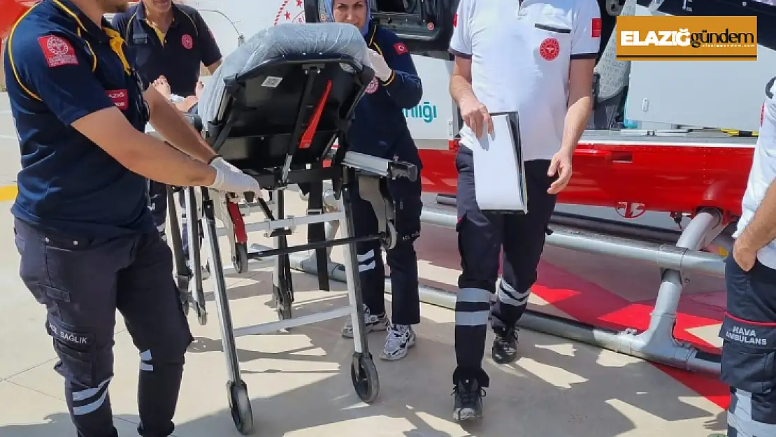 Yılanın soktuğu çocuk, Elazığ'da tedavi altına alındı