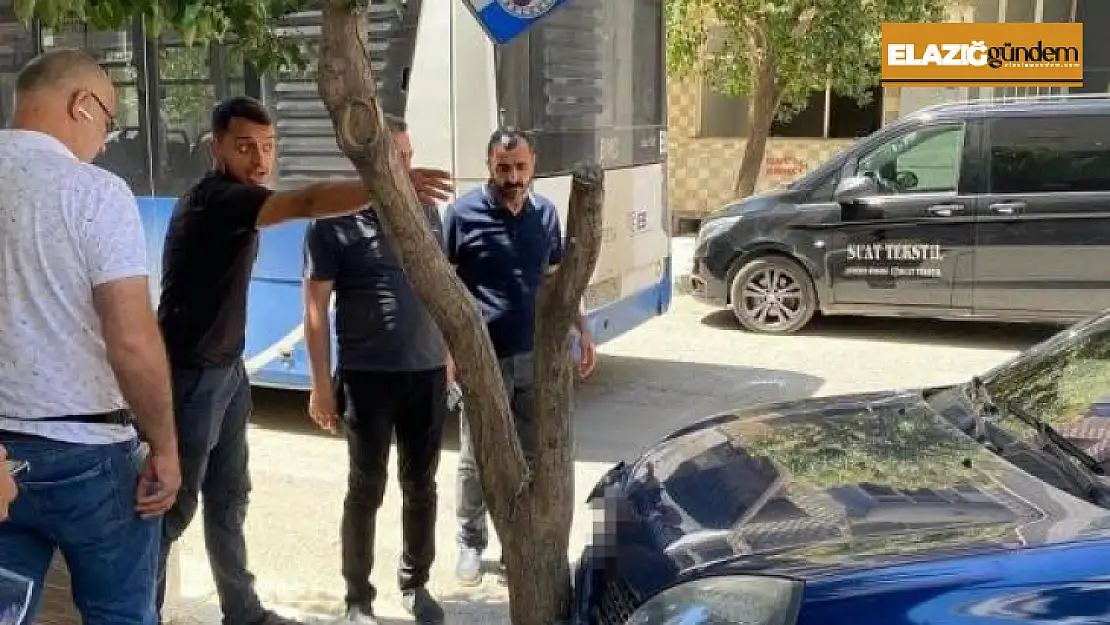 Yolcu otobüsü ile otomobil çarpıştı: 1 yaralı