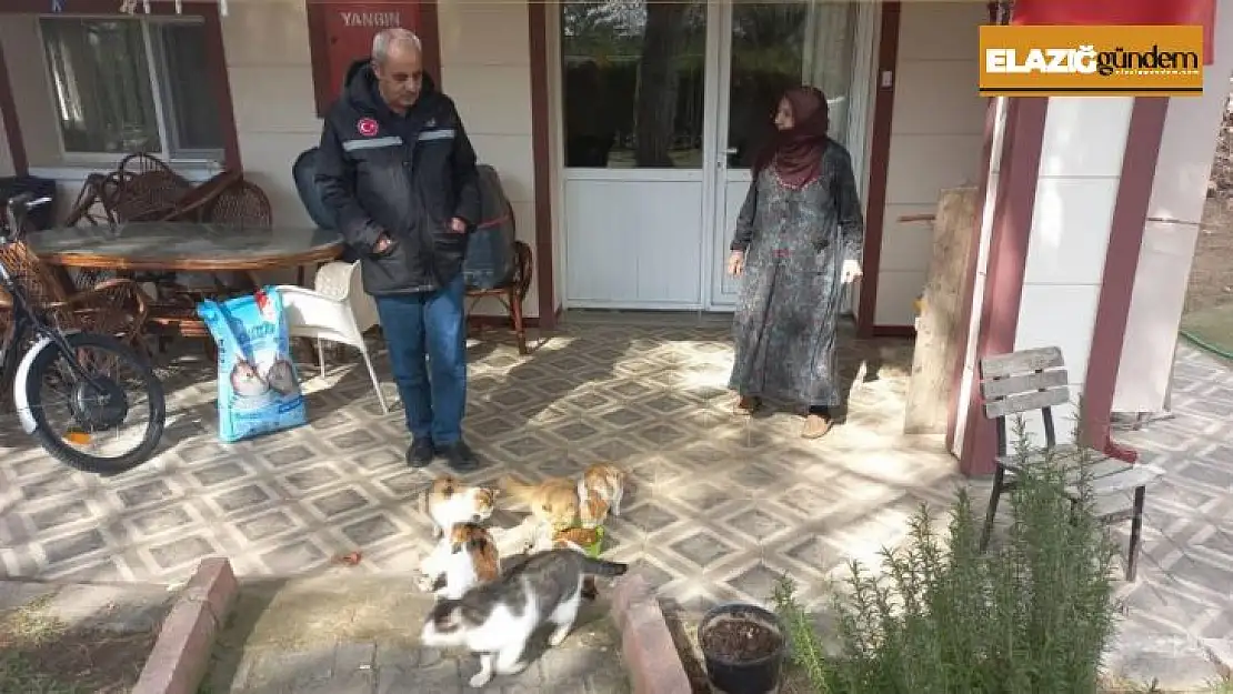 Zahide Nineye İl Özel İdaresi'nden mama desteği