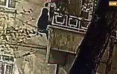 Güvenlik kameralarına aldırış etmedi ev sahibini uyurken hırsızlığa kalkıştı