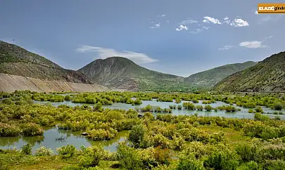 Beyhan'da fotosafari heyecanı