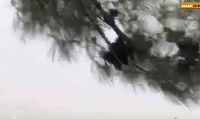 Elazığ'da fırtına etkili oldu