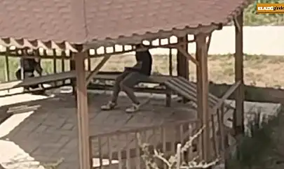 Elazığ'da kamelyalara zarar verdiler