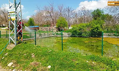 Elazığ'da larva ilaçlama çalışmaları sürüyor