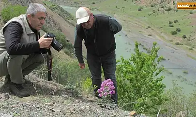 Elazığ'da Ulusal Biyolojik Çeşitlilik ve Envanter İzleme Projesi çalışması