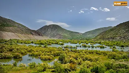 Beyhan'da fotosafari heyecanı