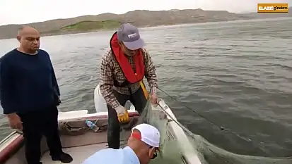 Elazığ'da kaçak avlanmayı önlemek için ekipler yoğun mesai harcıyor