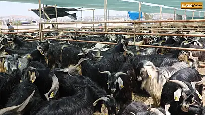 Elazığ'da kurban kesim alanları açıklandı