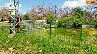 Elazığ'da larva ilaçlama çalışmaları sürüyor