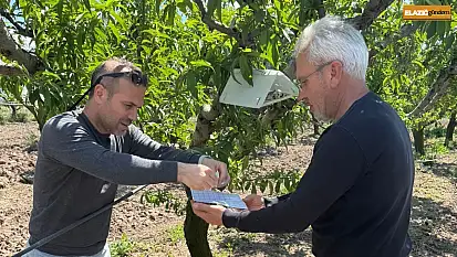 Elazığ'da şeftali güvesine karşı feromon tuzak