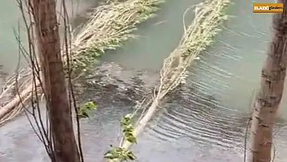Şiddetli fırtına hayatı felç etti