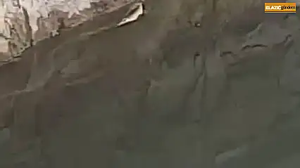 Elazığ'da yılanın balık avı kamerada